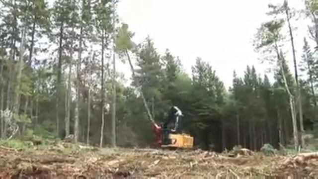 Харвестеры гусеничные Cat® 521 смотреть онлайн