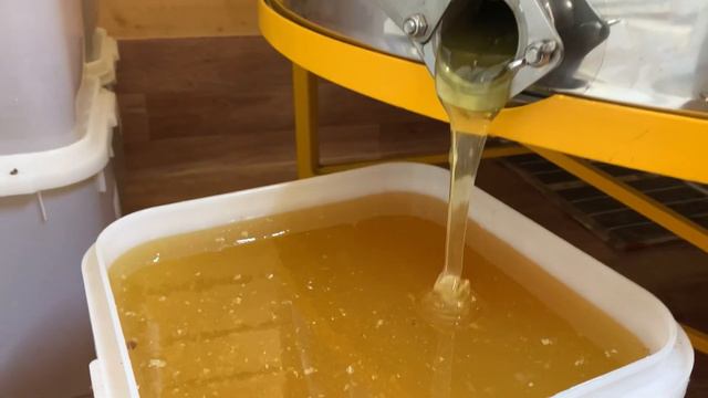 Откачка мёда 🍯 смотреть онлайн