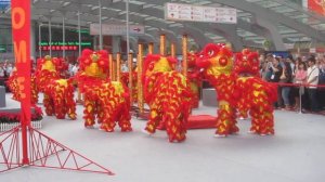 Chinese Dragon Dance Performance