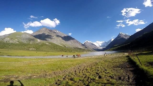 АЛТАЙ. Треккинг к подножию горы Белухи. Аккемская тропа. смотреть онлайн
