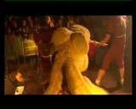 F.A. 2005OfficialDVD смотреть онлайн