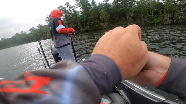 How to catch Summer Crappies using Livescope on Gulp Plastics! смотреть онлайн