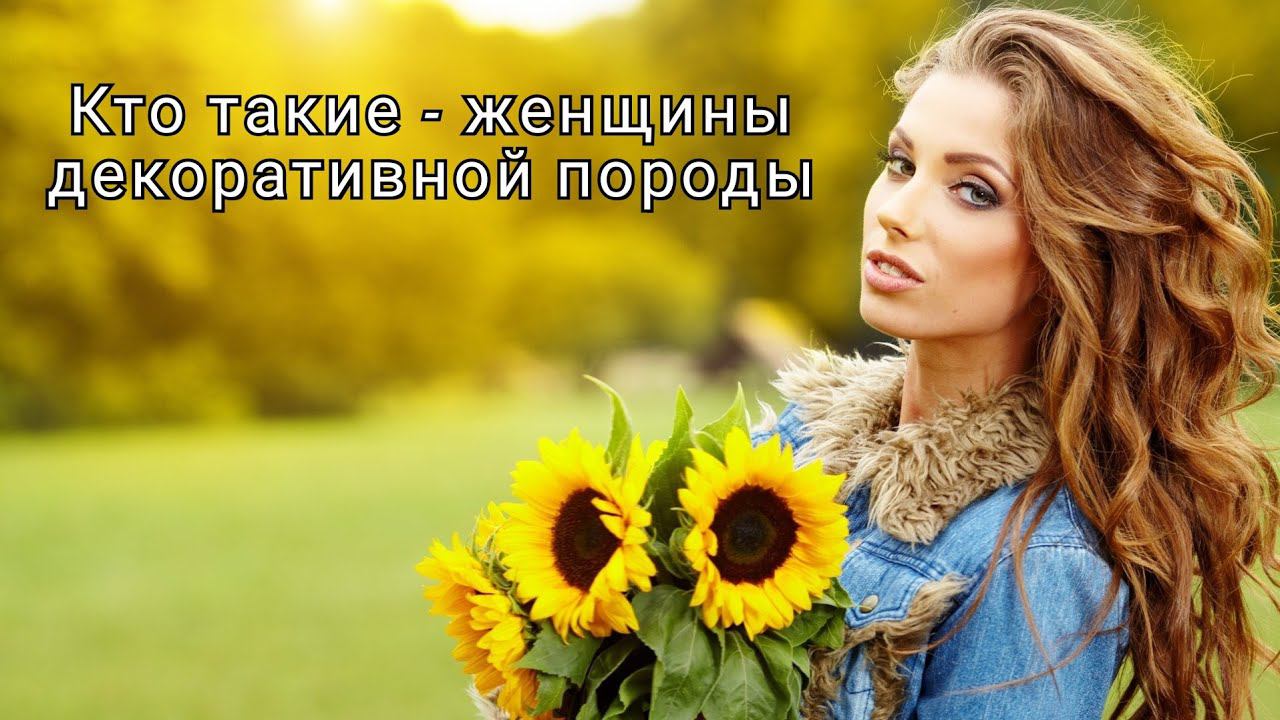 Отношения с женщинами декоративных пород смотреть онлайн