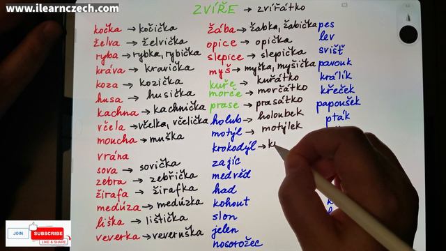 Kurz češtiny 109: Zvířátka (zdrobněliny) смотреть онлайн