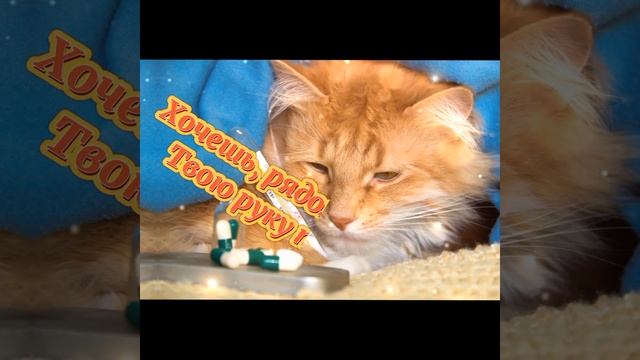 Выздоравливай и не болей! Оздоровительная открытка с пожеланиями! смотреть онлайн