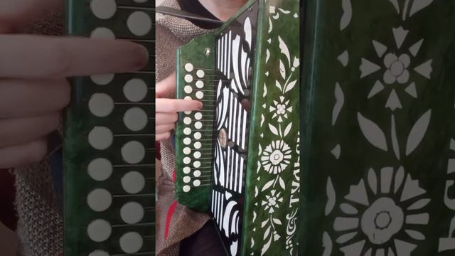 Мурка и гармонь смотреть онлайн