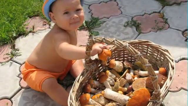 МЫ ГРИБЫ ГРИБЯТА смотреть онлайн