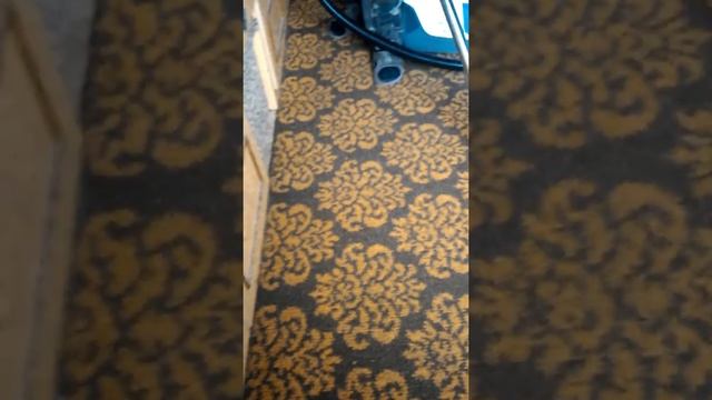 Karcher DS 6000 пылесос в роботе смотреть онлайн