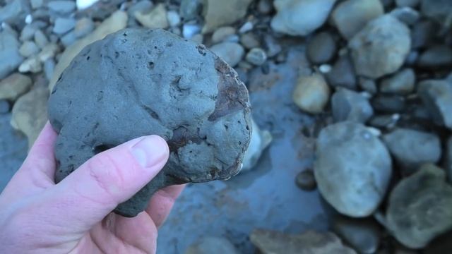Fossil hunting: I find the coolest little crab fossil смотреть онлайн