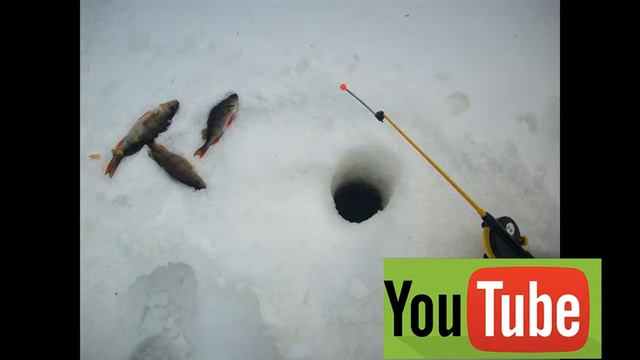 Рыбалка закрытие 2019 года смотреть онлайн