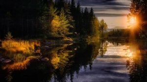 Дневник пропавшего геолога/ Истории таёжных охотников/Охотничьи байки/Страшные истории