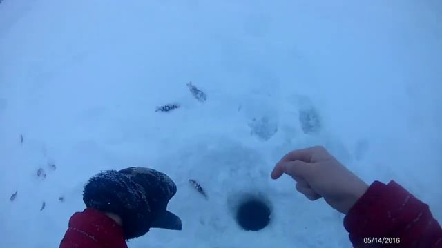 Рыбалка на ГЭС!!!Ерш и окунь атакуют!!!!Опасность штрафов!!