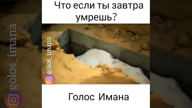 Что если ты завтра умрешь