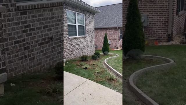 Сам себе ландшафтный дизайнер...Сажаем Туи около дома смотреть онлайн