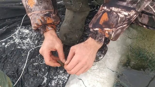 Ловим живца для рыбалки на хищника. Где и как поймать живца? смотреть онлайн