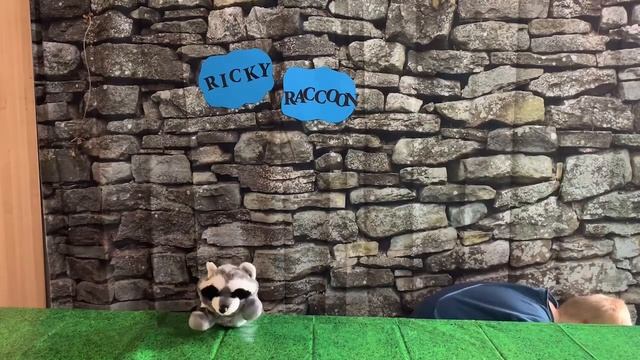 How to Read/et/ Words with Ricky Raccoon смотреть онлайн