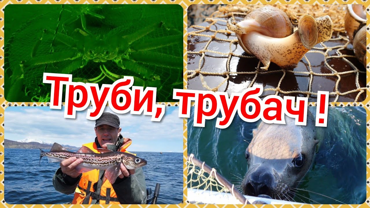 Морская рыбалка на Камчатке смотреть онлайн