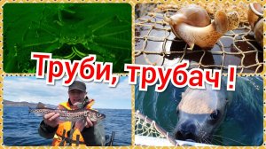 Морская рыбалка на Камчатке