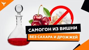 сДЖ 5: Самогон из вишни без сахара и дрожжей. Рецепт, плюсы и минусы