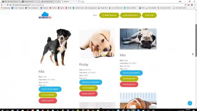 VALIDAR LOGIN PHP - EVITA el HACK (SQL Injection) смотреть онлайн