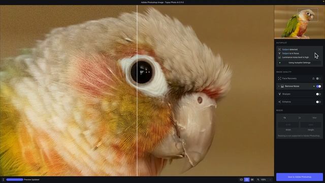 Using Topaz Photo AI with Adobe Photoshop смотреть онлайн