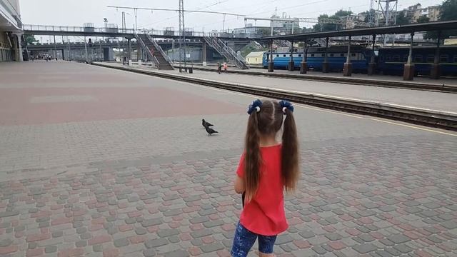 Харьковский вокзал, встречаем бабушку с поезда. смотреть онлайн