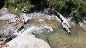 Рыбалка в Чечне  Трофейная рыбалка на горных реках 2023