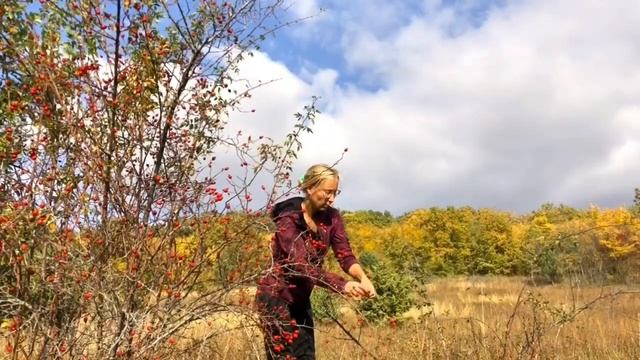 Вперёд, за шиповником! смотреть онлайн