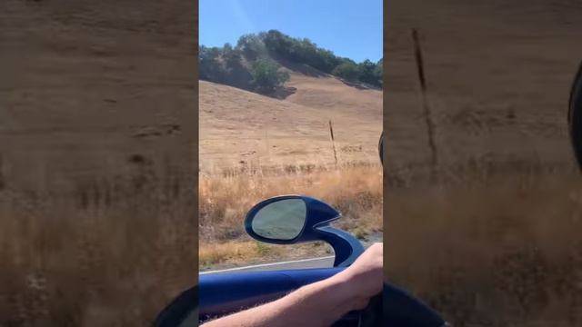 Drive the McLaren Elva #mclaren #mclarenelva #elva #supercar #hypercar #exoticcar #sportscar смотреть онлайн