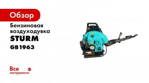 Вам нужно купить воздуходувку  Sturm! GB1963