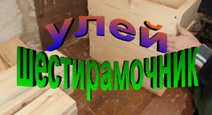 Улей шестирамочник сборка.