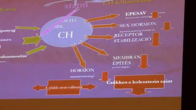 2017 05 23 Prof Dr Horváth István előadása 88' смотреть онлайн