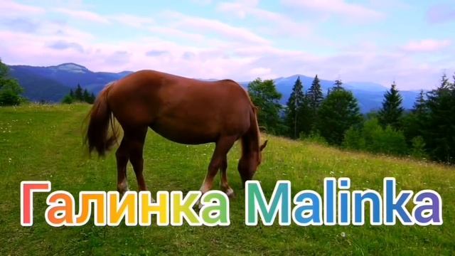 Вредина Лайф /Vredina Life /Треш /Что несет эта женщина /Обзор Влогов /Обзоры / смотреть онлайн