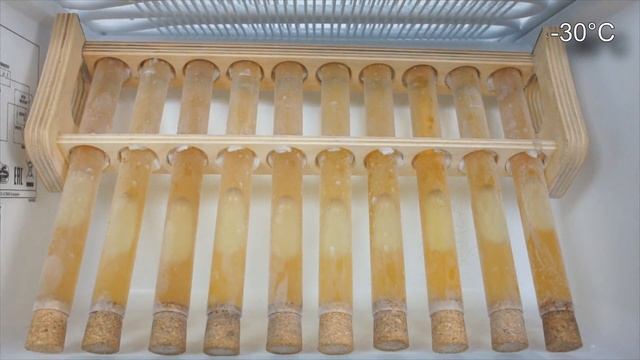 Olej 5W30 507 Test Zimna -30°C Mobil 1, Motul, Valvoline, Orlen, Windigo, Liqui Moly, Xenum