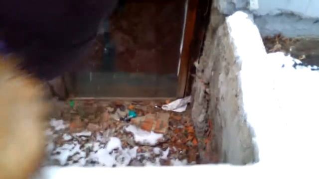 СТАРШАЯ ШКОЛА. КАТАЕМСЯ НА ГОРКЕ С ЛИЗОЙ. смотреть онлайн