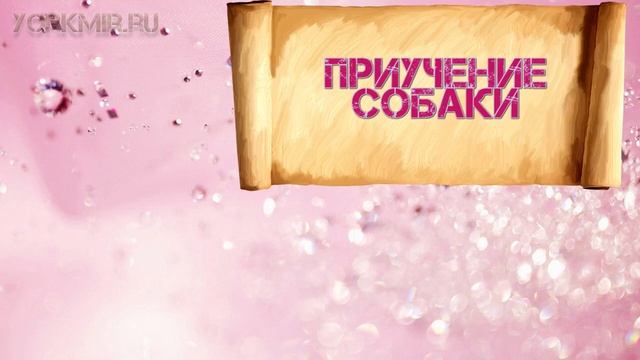 лежаки для собак средних пород недорого с Алиэкспресс смотреть онлайн