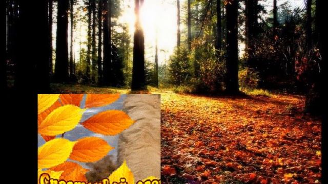 My film Счастливой осени. смотреть онлайн