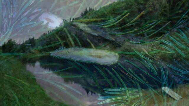 Сарва смотреть онлайн