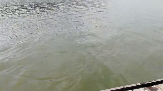 Рабалка, база отдыха у Ильича, Аблязово, Пензенская область