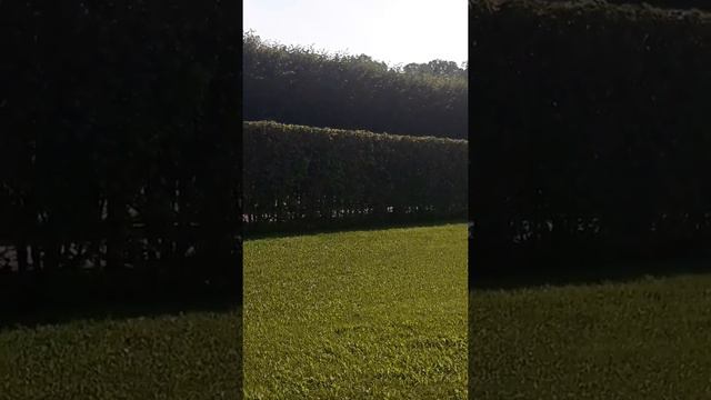 14.08.21. Марафон: Космопереход в Новую реальность. Действия. смотреть онлайн