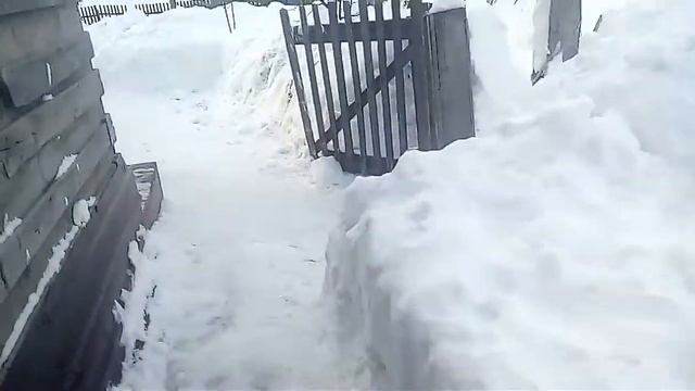 МНОГО СНЕГА, МНОГО ХЛЕБА!!! смотреть онлайн