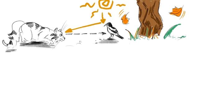 Бестиарий Хэллоуина: Летучие Мыши