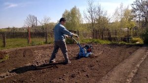 Мотоблок Нева мб-2, весенняя вспашка фрезами.Одной рукой. #мотоблокнева , #вспашка
