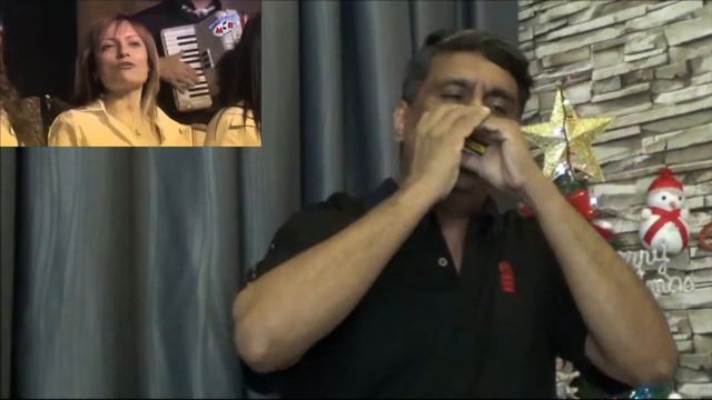 LA BANDA DELLA MUSICA - MARIO RICCARDI - HARMONICA - INSTRUMENTAL - DR. KARTIK SAXENA