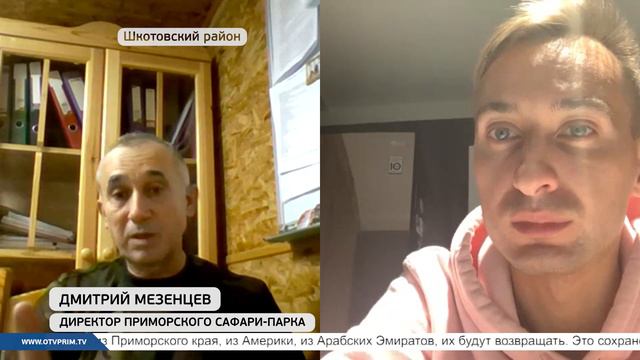 Тигр Шерхан отправился в Арабские Эмираты ради сохранения генофонда смотреть онлайн