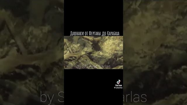 Вот он руский мир и так было везде куда приходил руский мир . смотреть онлайн