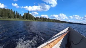 лесные реки севера. рыбалка на спиннинг.избушки.04.08.22 г.