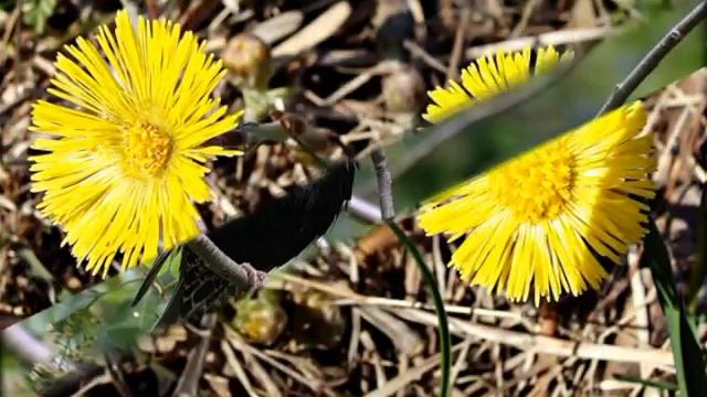 месяц май.avi смотреть онлайн