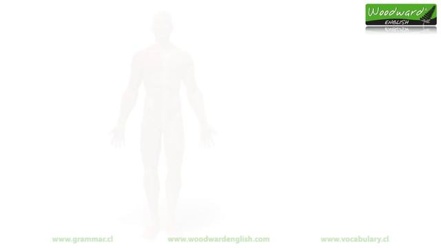 Parts Of The Body In English - Learn English Vocabulary