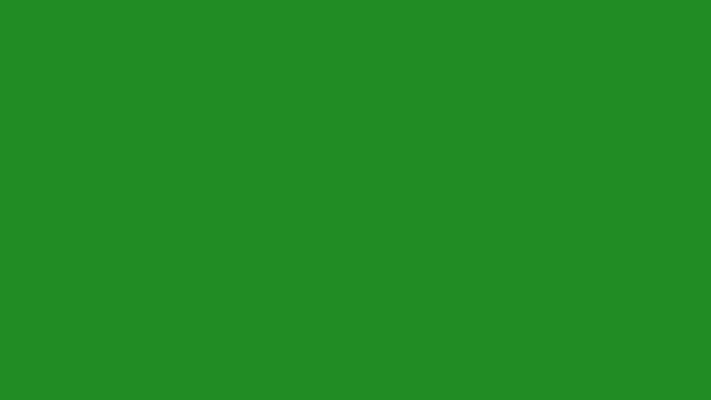 Лесной зеленый экран Forest green screen 4K 3840X2160 смотреть онлайн